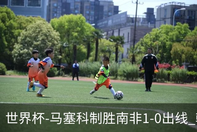 世界杯-马塞科制胜南非1-0出线 韩国积3分获小组第三待定